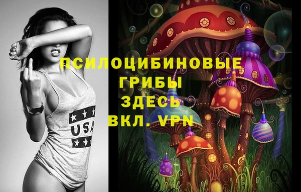 дурь Волоколамск
