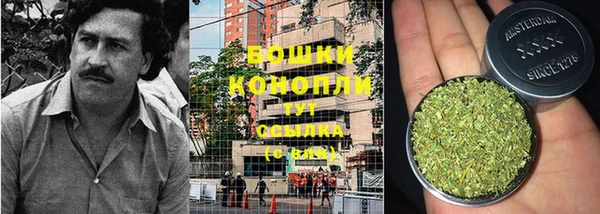 трава Верея