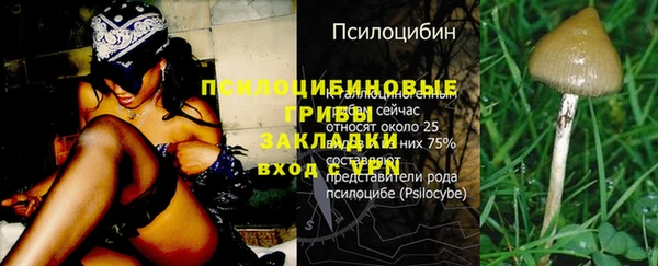 MDMA Верхний Тагил